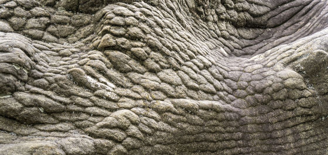 Sculptured-looking rock surface