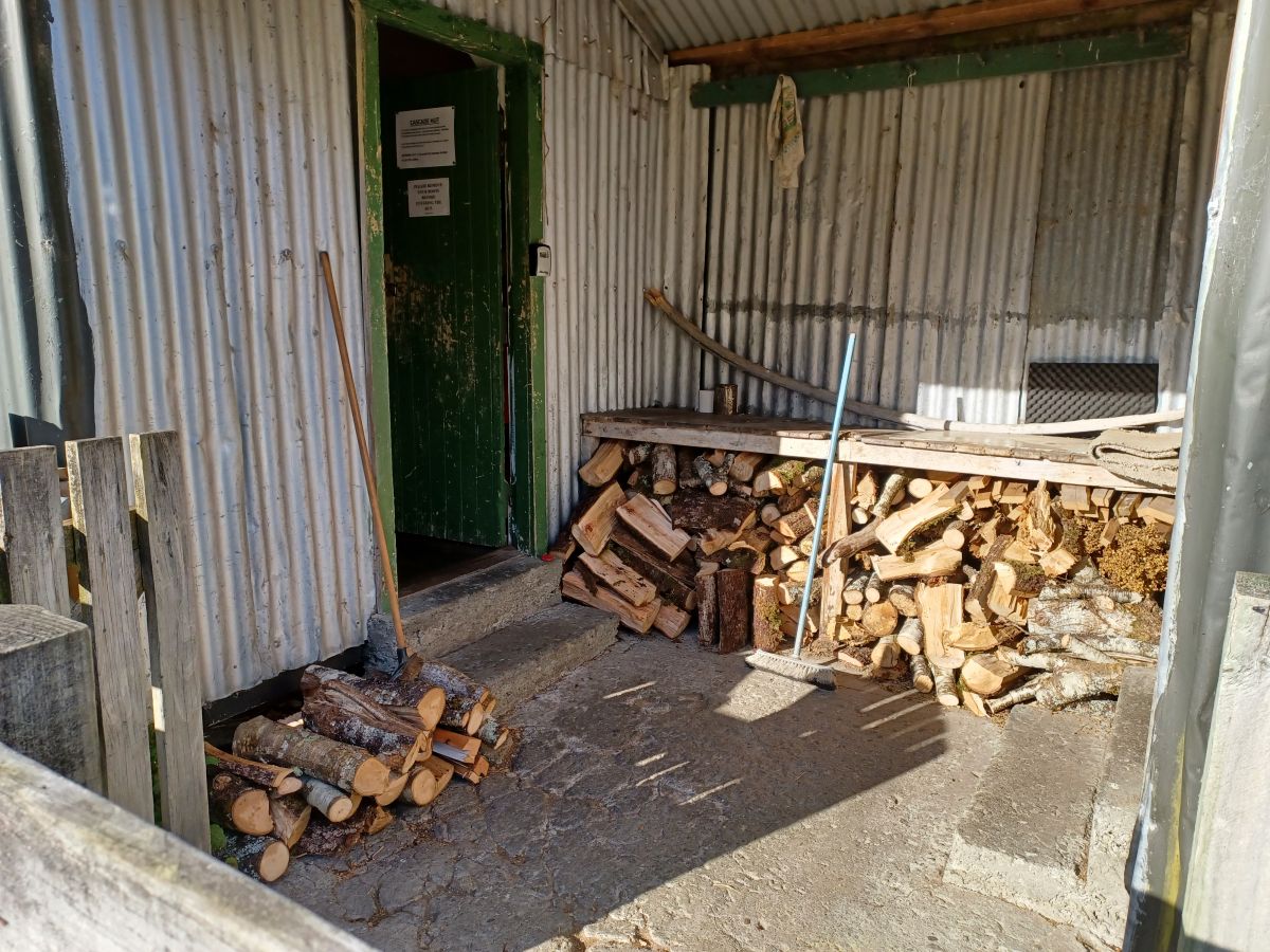 Replenished wood pile