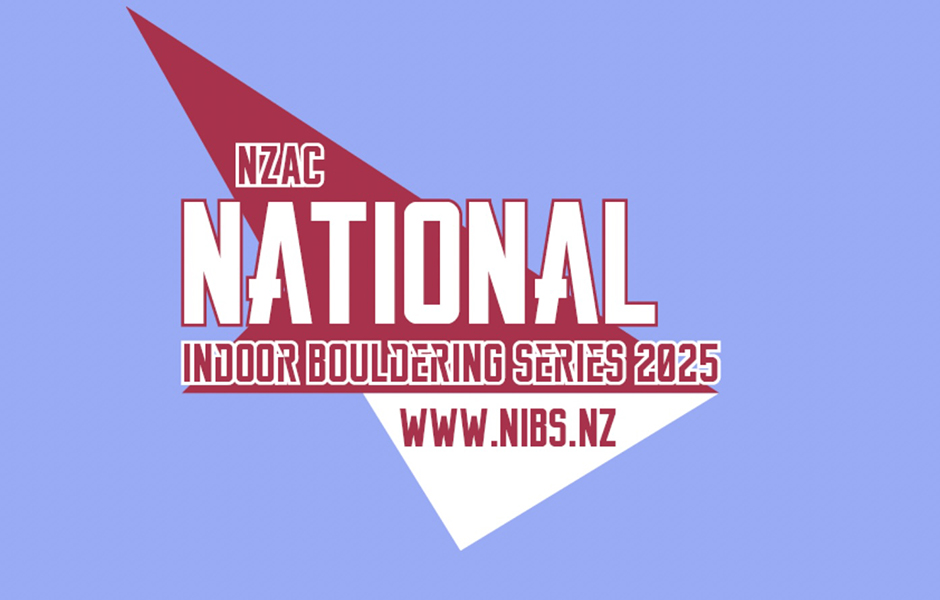 NIBS Logo