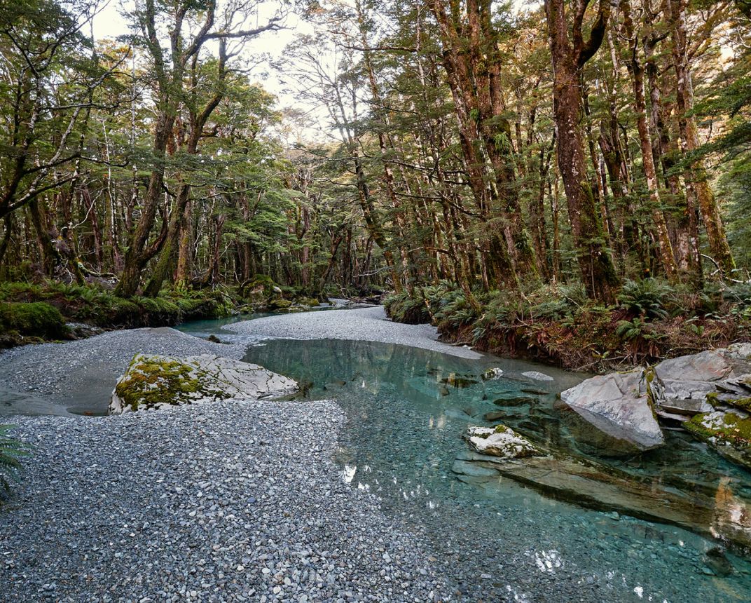 Nice bit of nature with trees and pools