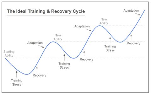 Graph of training and recovery cycle