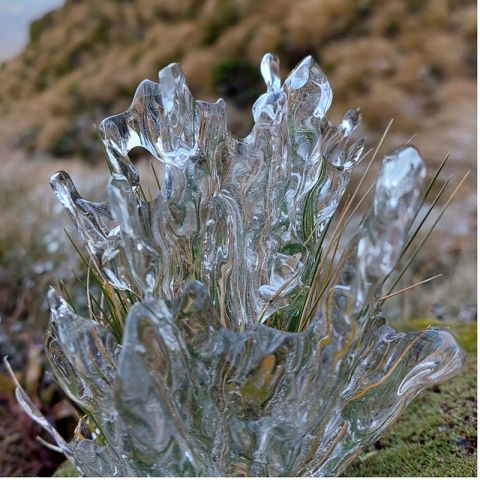 Ice forming on grass