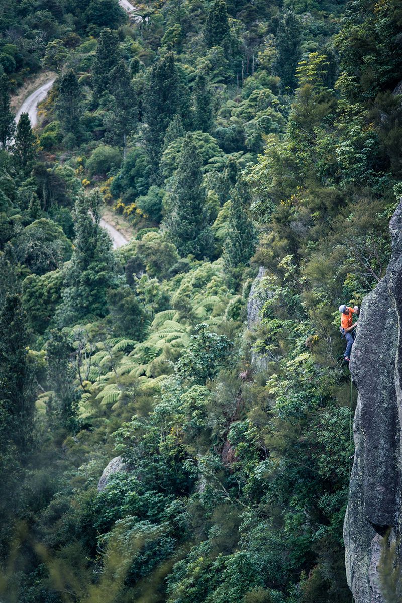 Climber in forest