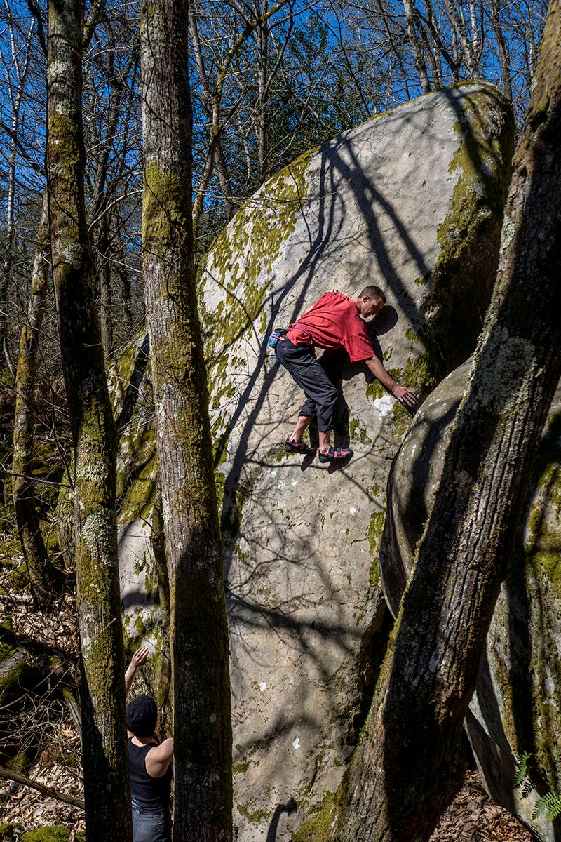 Climber on sandstone slab in forest