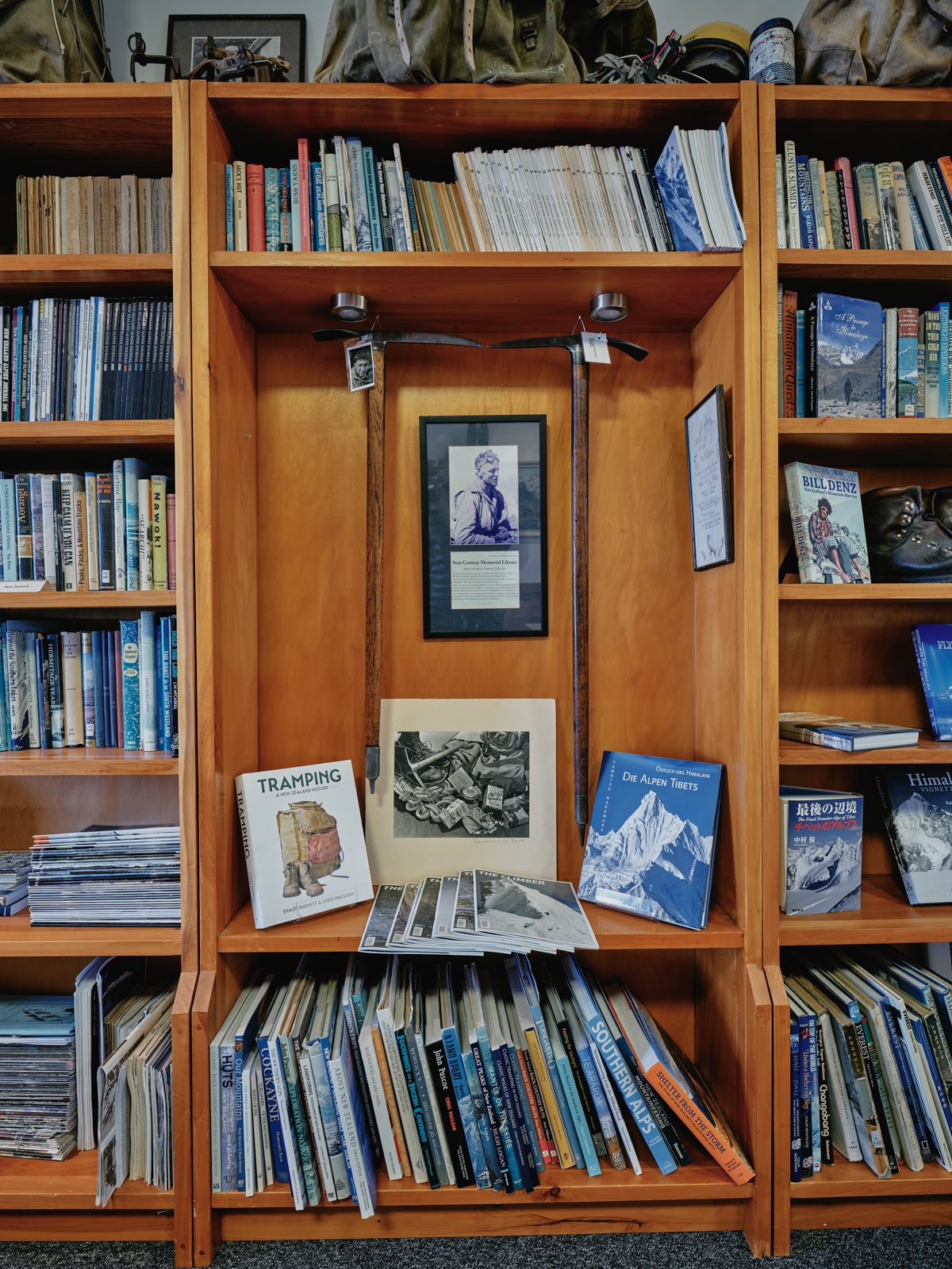 Library shelves and books