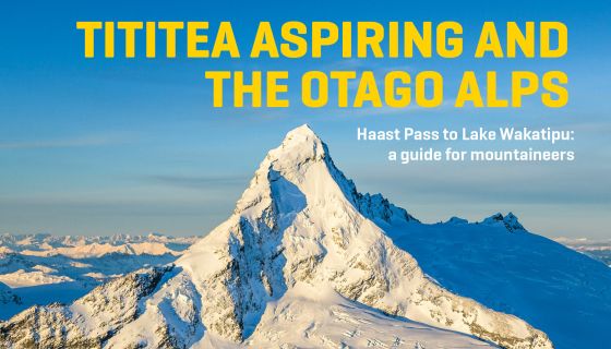 Tititea Mount Aspiring And The Otago Alps