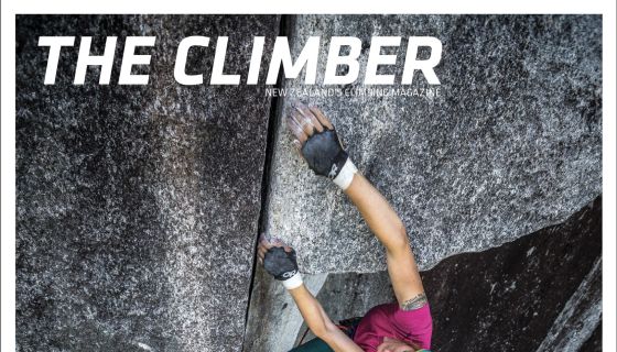 The climber 101