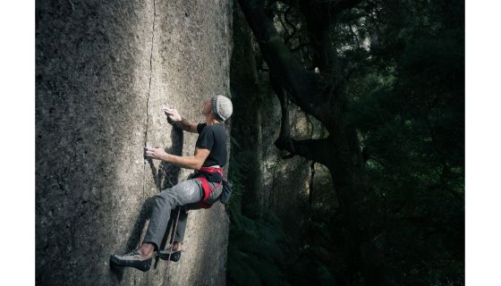 Climber on sheer wall in dark forest