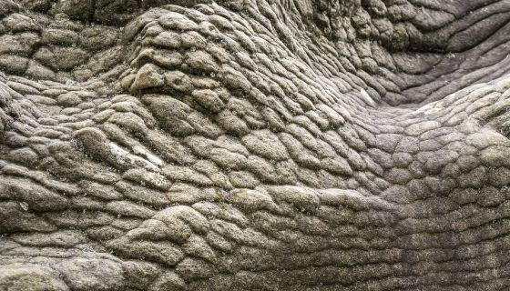 Sculptured-looking rock surface