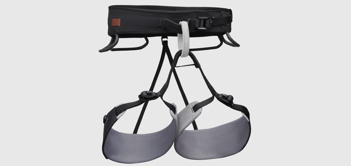 Climbing harness