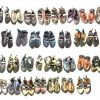 A collection of climbing shoes